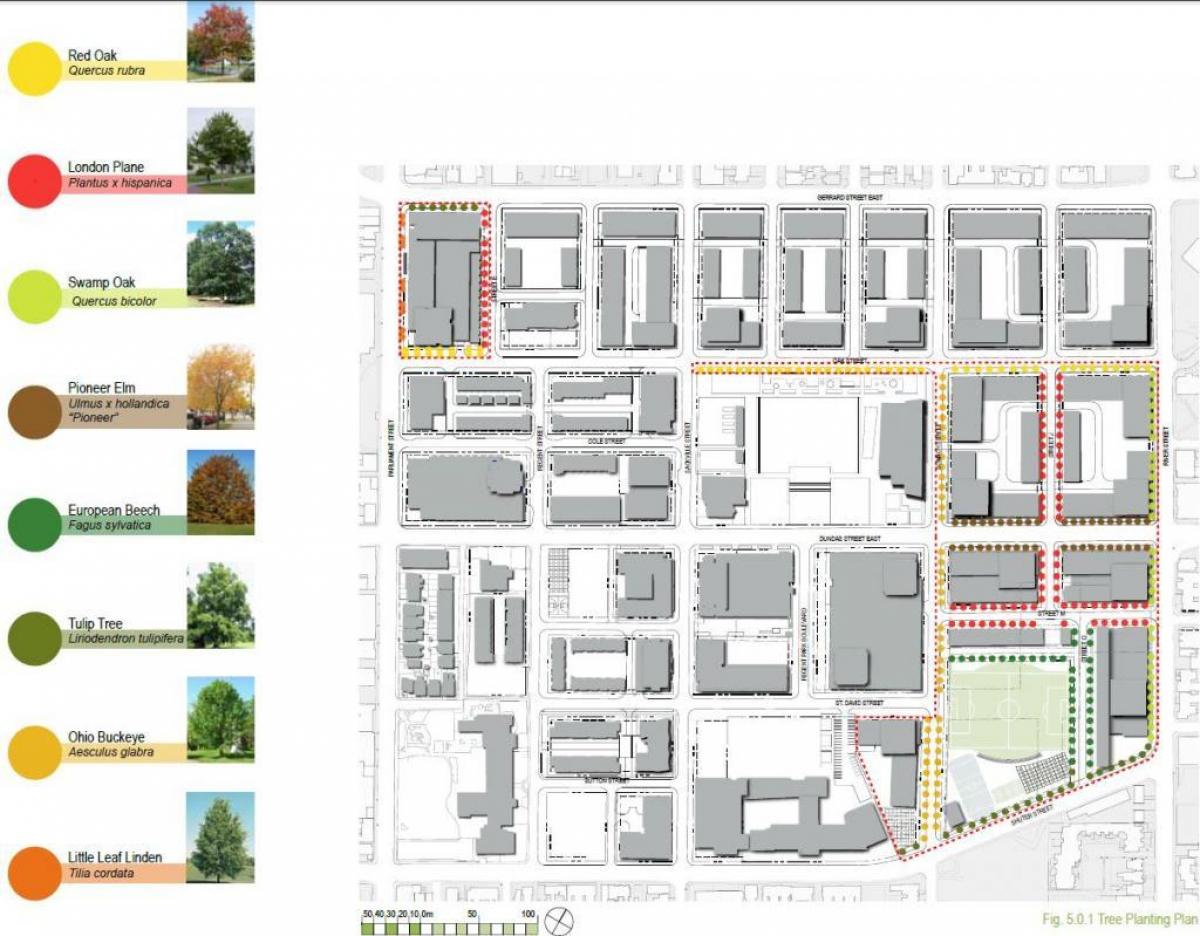 Kaart van Vernuwing plan Regent Park Toronto fase 3